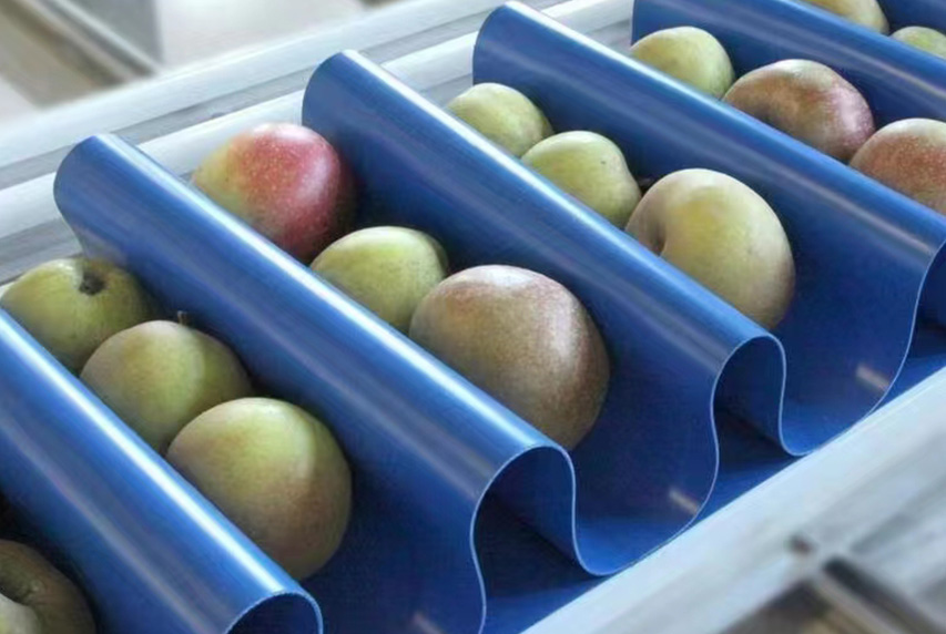 Food Processing, Food Packaging, Frozen Food Processing, Frozen Food Packaging, Beverage Packaging